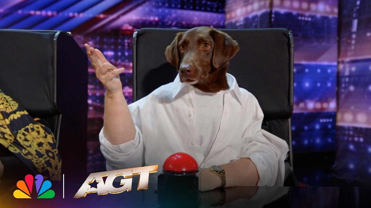When the Dogs Run the Show 😂 | Canine Stars | AGT