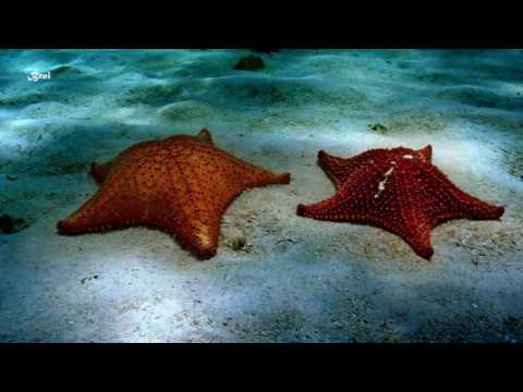 🌠Martin Korgweel Feat. Angel Falls - I'm Waiting [Chris Wonderful Remix]♥ྀྀ ྀ