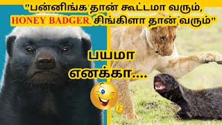 Tamil Animal Video Watch HD Mp4 Videos Download Free