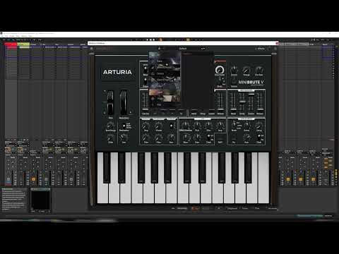 BATTLE OF THE SYNTHS: Sugar Bytes Cyclop Vs Arturia Minibrute V #audioplugindeals