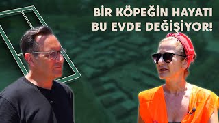 Yaşam Alanı | 23. Bölüm · Kurtaran Ev'de Bir Gün: Köpek Sahiplendirmen