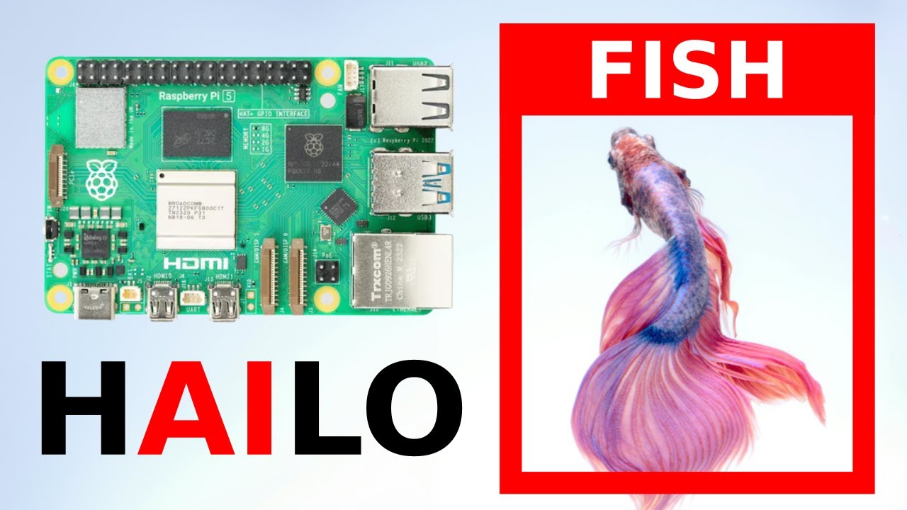 Computer vision on edge | Raspberry Pi 5 AI Kit | Hailo 8L | Object detection