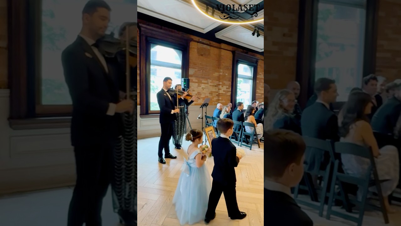 Promotional video thumbnail 8 for Luxury Violinist
