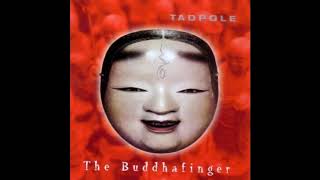 Tadpole - Alright [almost perfect riff loop]