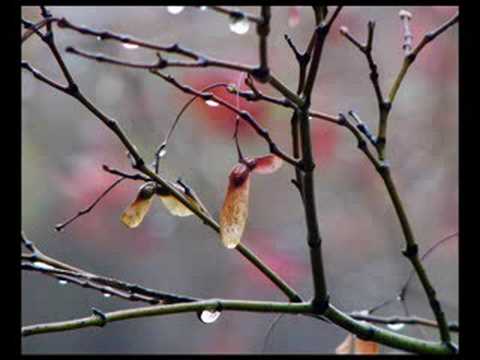 Lake of Tears - So Fell Autumn Rain