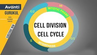 Cell Division | Cell Cycle | Interphase | G0, G1, G2 & S phase | Class 11 Biology