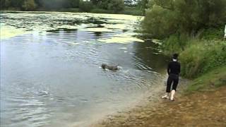 Sarah & Aston split retrieve