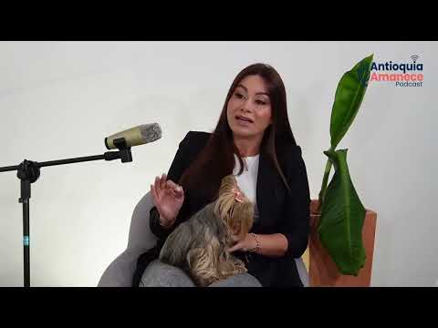 ¿Óscar Andrés Pérez lidera la Alcaldía de Bello?