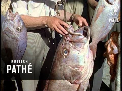 Out Takes / Cuts From Cp 402 - Gibraltar (1962)