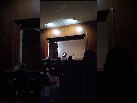 Guslar Vitomir Vulin