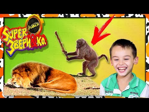 SUPER звери НАЙДИ ЖИВОТНЫХ челлендж