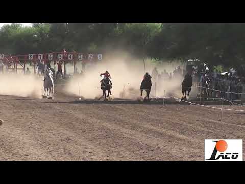 VICTORIA HIPODROMO PANGARE 20 02 2022