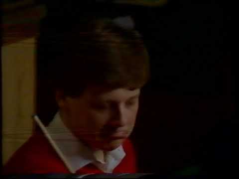 Nordiske mesterskaber i cadre, 3 bande  og keglebillard 1982