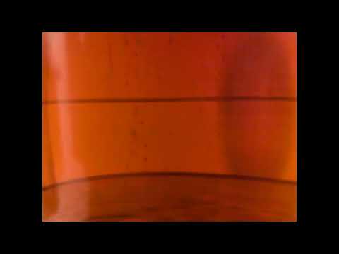 Stay Out Forever AI - 'A Farmer's Life For Me' (AI Singles Series #39)