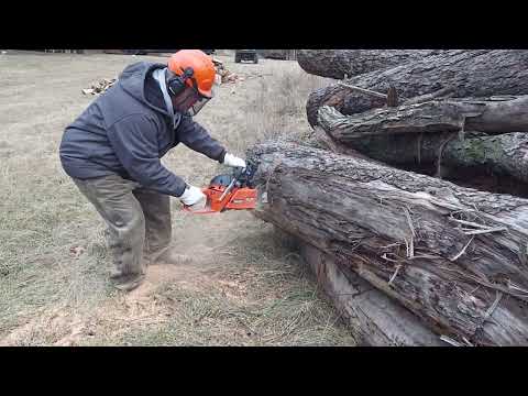 Big Karl working the ported Makita 72cc