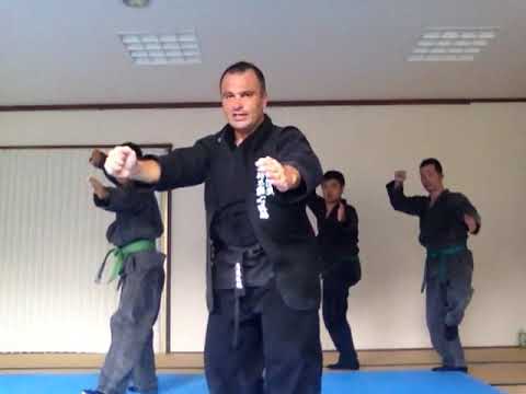 Ninjutsu Kyoto | Ninpo Taijutsu no Kamae 初心者へ基本忍法体術の構