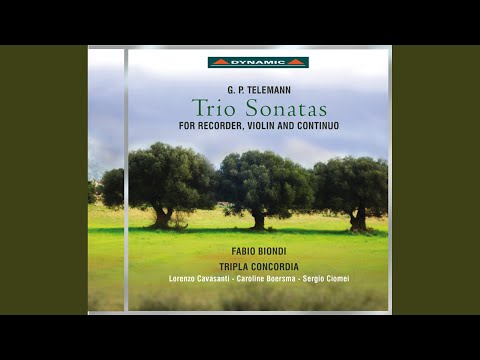 Trio Sonata in A Minor, TWV 42:a1: I. Affettuoso