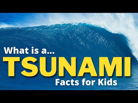 Tsunami Facts For Kids - What is a Tsunami?