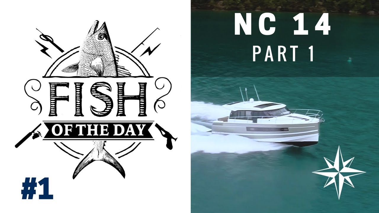 На борту NC 14 в рамках серии Fish of the Day (ч.1)