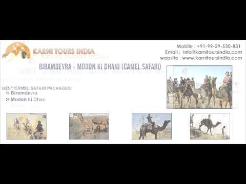 Camel Safari Tour Packages
