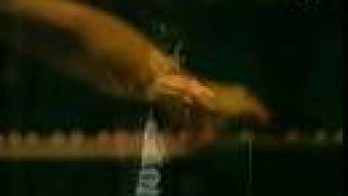 Gianna Nannini, Basel 2002 03 - Ragazzo dell'Europa