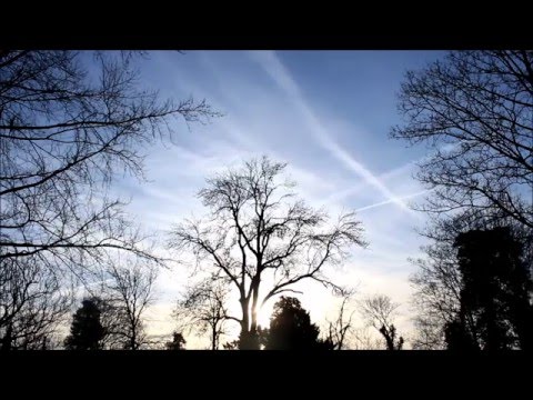 SVPERIOR DWELLS - Alfa Romeo [On Errythang]