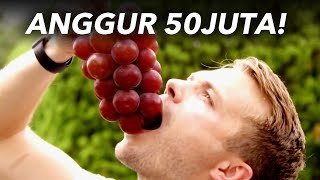 Download lagu SEBIJI SEJUTA.!!! Buah-Buahan Termahal Di Dunia mp3 Download lagu SEBIJI SEJUTA.!!! Buah-Buahan Termahal Di Dunia mp3