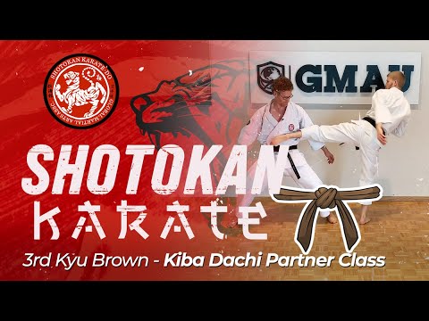Shotokan Krate - 3rd Kyu Brown - Kiba Dachi Partner Class thumbnail