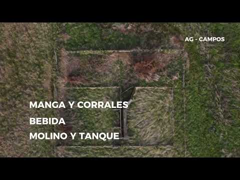 134 has. ganaderas ZONA LOBOS, BS. AS.