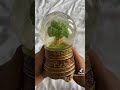 Taylor Swift Snow Globes Collection