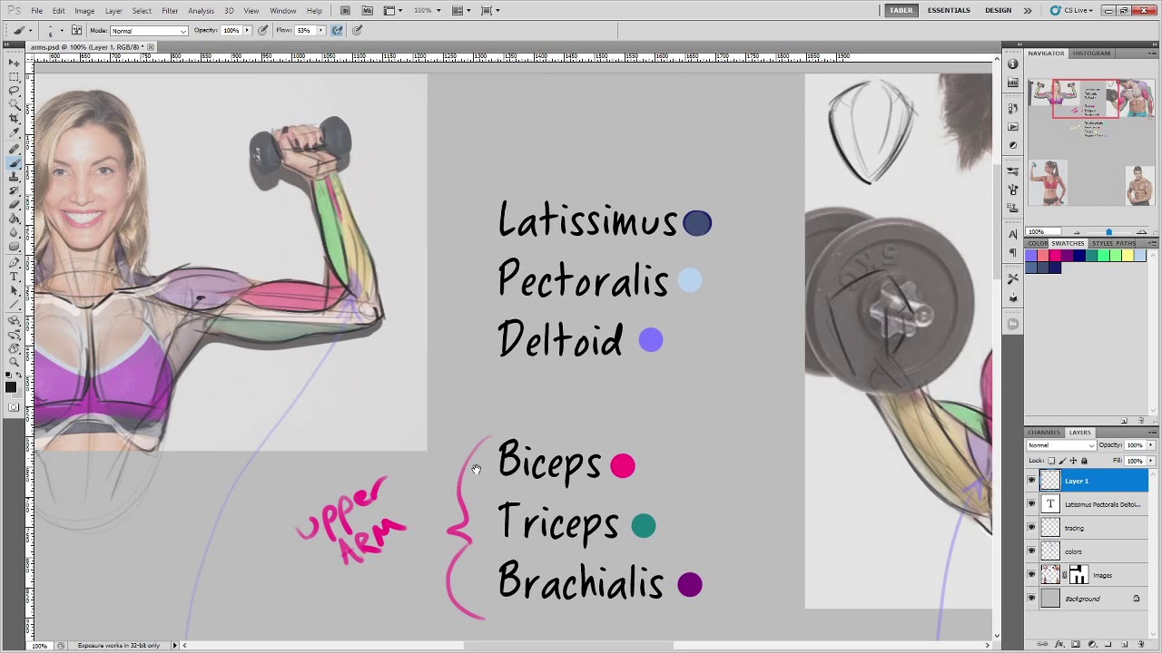 ART40 Lecture 14 - Arms