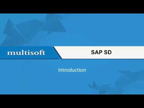 SAP SALES AND DISTRIBUTION Models and Terminology Online Video Tutorial 