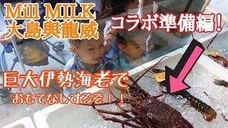 【奇跡のコラボ準備編】5人兄弟と一緒に買い出し！！子どもたちを捌き、伊勢海老を捌き大忙し！！