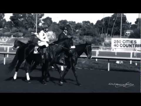 ＥＢＬＯＵＩＳＳＡＮＴＥ