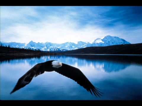 Sandeagle - Haliaeetus (Original Mix) [Set Rip]