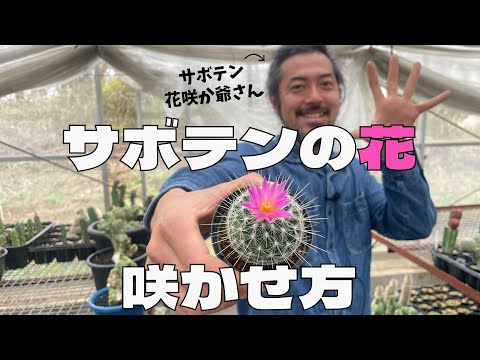 ジェシカハイドが撮影したイースターサボテンの花を咲かせるヒント