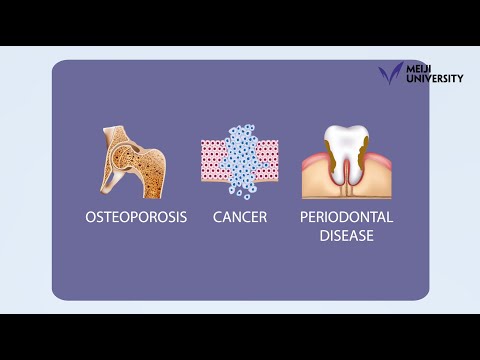 Biological chemistry contributes to “medical care for a better life” -by HONDA Michiyo