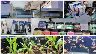 Aquarium, Dry Items | New Fish Stock At AQUAFINSCAPE Delhi