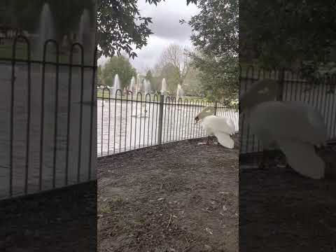 Jephson Gardens Leamington Spa