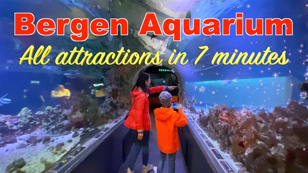 Dive into an immersive virtual stroll at Bergen Aquarium.