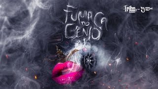 Fumaça do Gênio Lyrics English Translation