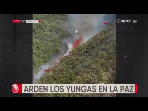 La Paz: Se registró un incendio en el municipio de Yanacachi, en la región de Los Yungas