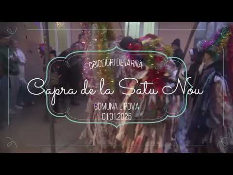 Capra de la Satu Nou 01.01.2025