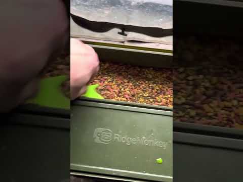 This is PERFECT for PVA Bag Fishing! 🐟 🎣