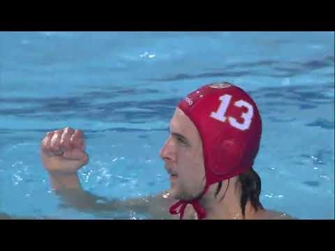 Novi Beograd vs Ferencvaros - Highlights - Champion's League 2021/2022 Day 11