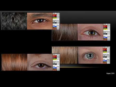 34C3 -  Extended DNA Analysis  - deutsche Übersetzung