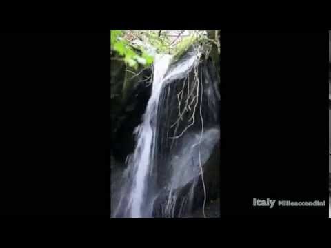 دوو دەقە لە دوعاكەی شەوی 29ی ڕەمەزانی 1436هـ - مامۆستا علی خان
