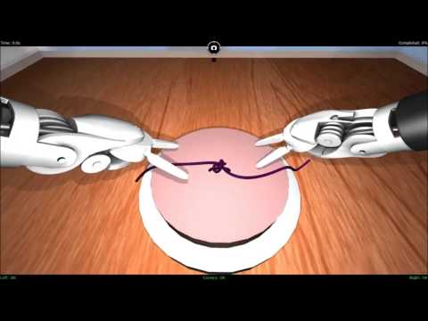 Knot tying task in Xron software