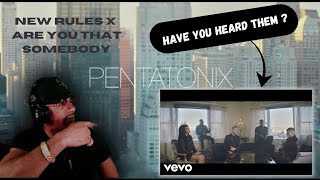 Rapper Reacts To New Rules x Are You That Somebody? - Pentatonix | Reaction