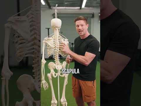 How To (actually) Fix Tight Upper Traps